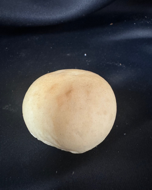 Mini faluche non garnie
